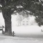 09-Hiver dans le Vide-Poches
