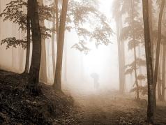 05-Brume et brouillard - 2