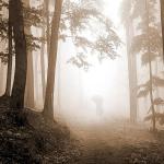 05-Brume et brouillard - 2