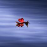 Première position - Et l'onde me porte ... - Louise Ouellette