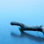 Cinquième position - The Log - Clément VIllemont