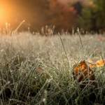 02 - Bon matin soleil levant - Marie-Claude Bernard