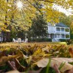 06 - Rase Feuilles - Jean-Claude Cajolet