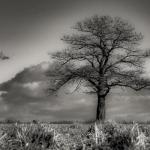 05 - Maître des lieux - BERTRAND CLAVET