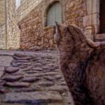 07 - Sans titre - André Guérin