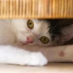 04 - Sans titre - Francine Presse