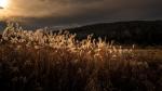 Douceur lumineuse