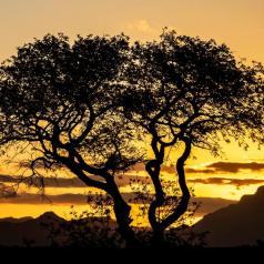 Crépuscule