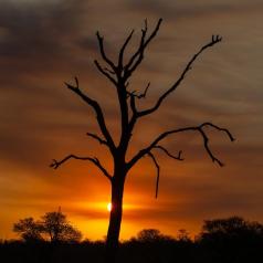 crépuscule