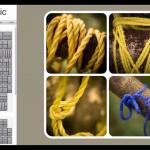 ultimescompositions-20210204-12