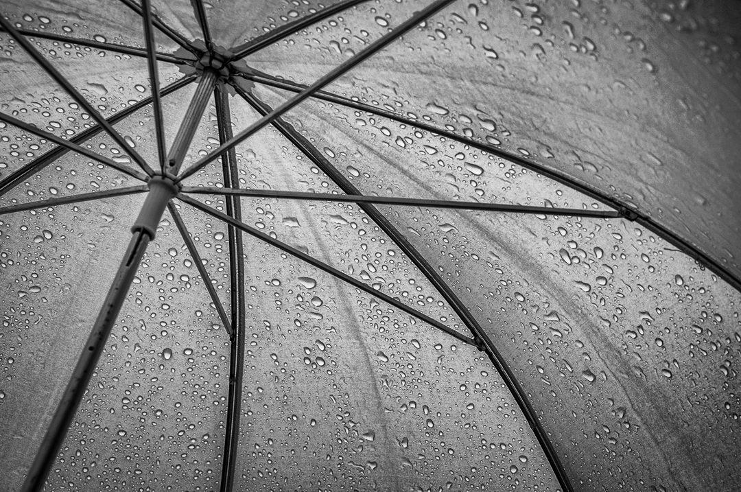 Sous le parapluie