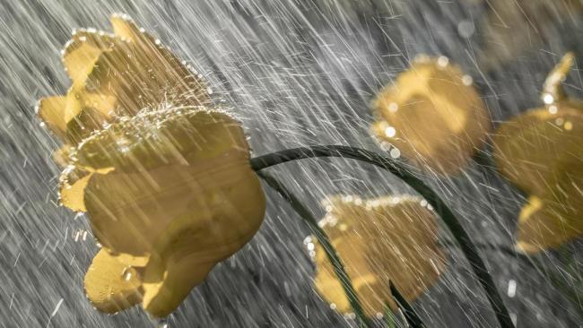 Toute la pluie tombe sur moi