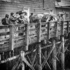 Où est mon fichu de parapluie?