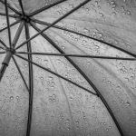 Sous le parapluie