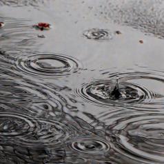 Chanson de Françoise Hardy