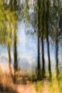 Frissons au bord de l\'eau