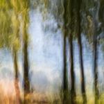 Frissons au bord de l\'eau