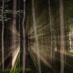 2022 PHOTO DE NUIT