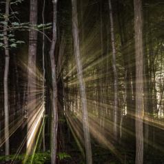 Illumination nocturne