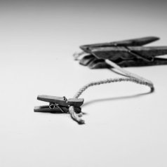 Cordon ombilical - Sylvain Thiffault - Défi: Faible profondeur de champ