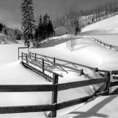 4e  place /  Notre hiver - Yvan Cossette -  Noir et blanc  carrée