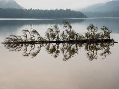 Réflexion parfaite - Dominic Raymond - SPPQ  Nature