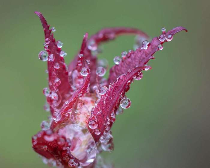 Briller sous la pluie