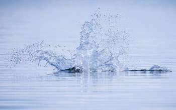 Douce explosion née du murmure des profondeurs