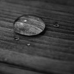 Perles hydrofuges