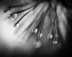 Reflets éphémères