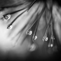Reflets éphémères