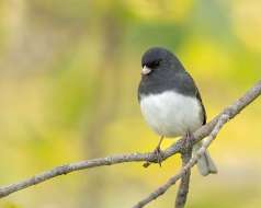 L'automne accueillant