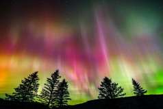 2025 EXPO BIBLIOTHÈQUE ALINE-PICHÉ NOV-DÉC