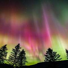 2025 EXPO BIBLIOTHÈQUE ALINE-PICHÉ NOV-DÉC