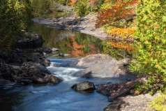 Douceur d'automne