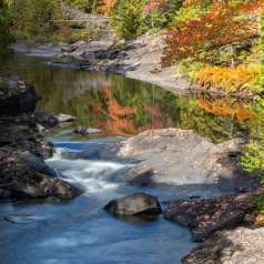 Douceur d'automne