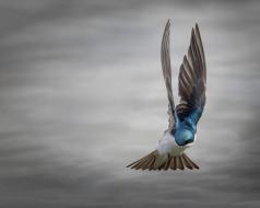 Quand le printemps me fait signe