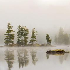 Silence matinal