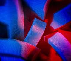 04-Macrophotoabstraction 01