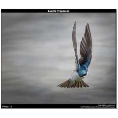 ACAP 2026 INSPIRATION COULEUR