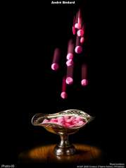 Rose bonbons
