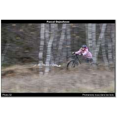 Promenons nous dans les bois