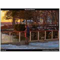 Contemplation à l'Île d'Orléans