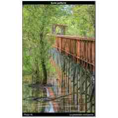 La passerelle verdoyante