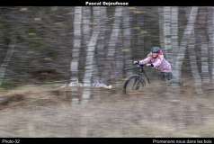 Promenons nous dans les bois