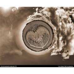 Le coeur de la passion - Mario Groleau - MONOCHROME