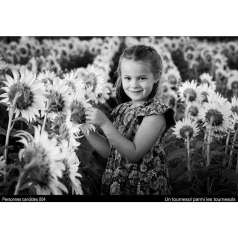 Un tournesol parmi les tournesols - Angèle P Villemure - MONOCHROME
