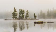 Silence matinal