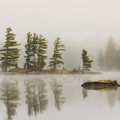 Silence matinal