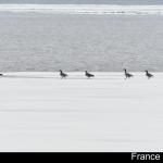 France Dallaire - 3e place